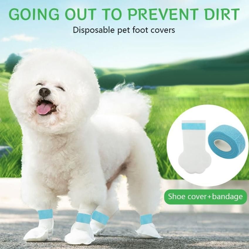 Pet Care